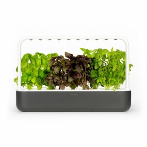 Click and Grow - Smart Garden 9 Starter kit (Color: Dark Gray) (SG9S8UNI)