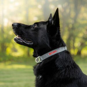 Siccaro - Sealines Dog Collar Silver S