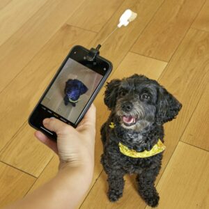 Dog Treat Selfie Clip (DIG01)