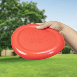 Bacon Scented Flying Disc (DIG13)