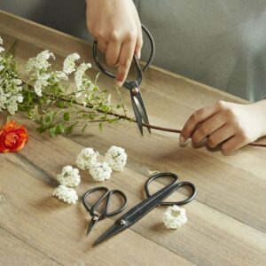 Scissor Set For Garden (SC37)