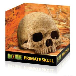EXOTERRA - Cave Skull  - (222.2055)