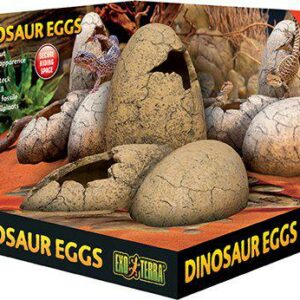 EXOTERRA - Cave Dinosaur Egg  - (222.2060)