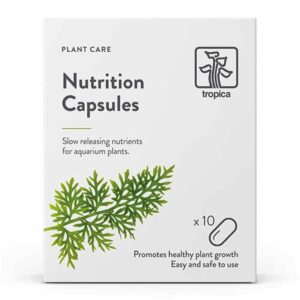 TROPICA - Nutrition Capsules 10stk