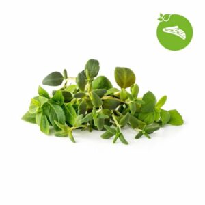 Click and Grow - Smart Garden Refill 9-pack Italian Herbs Mix